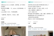 名字测算闲鱼：LABUBU搜索量环比上涨1000%，供不应求下现租赁新形式