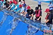 名字测算2025年全国水生生物同步增殖放流活动在福建举行