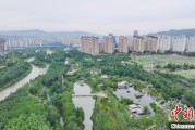 名字测算西宁市举办六五环境日主题宣传活动