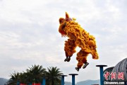 名字测算（文化中国行）壮乡狮舞闯南洋：脚踏“云桩” 饮誉海内外